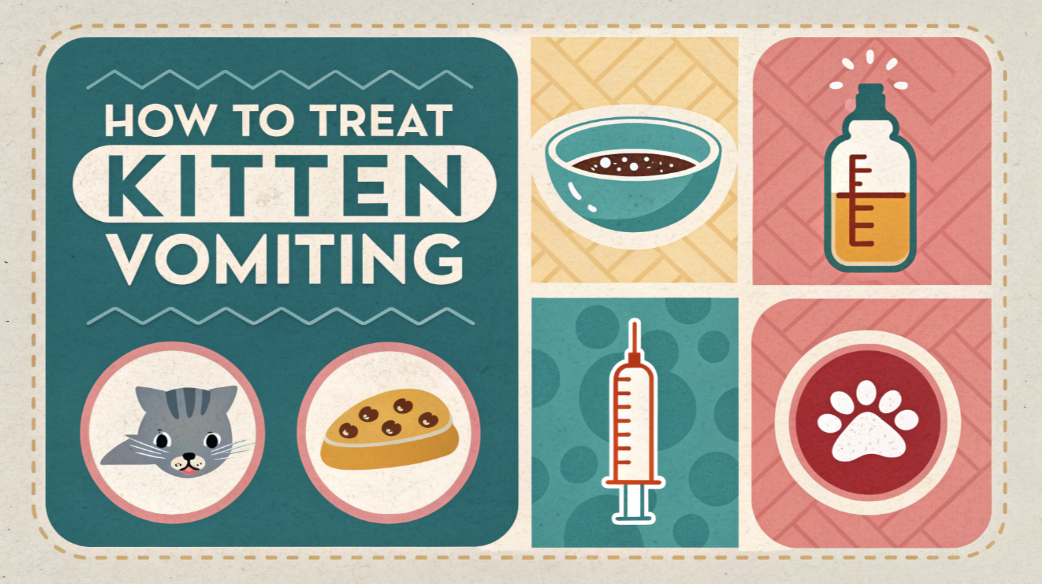 How to Help a Vomiting Kitten