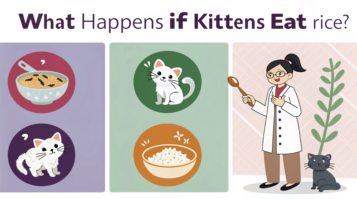 What Happens If Kittens Eat Rice